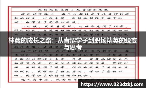 乐玩lewin国际